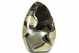 Free-Standing, Polished Septarian Geode - Black Crystals #344453-1